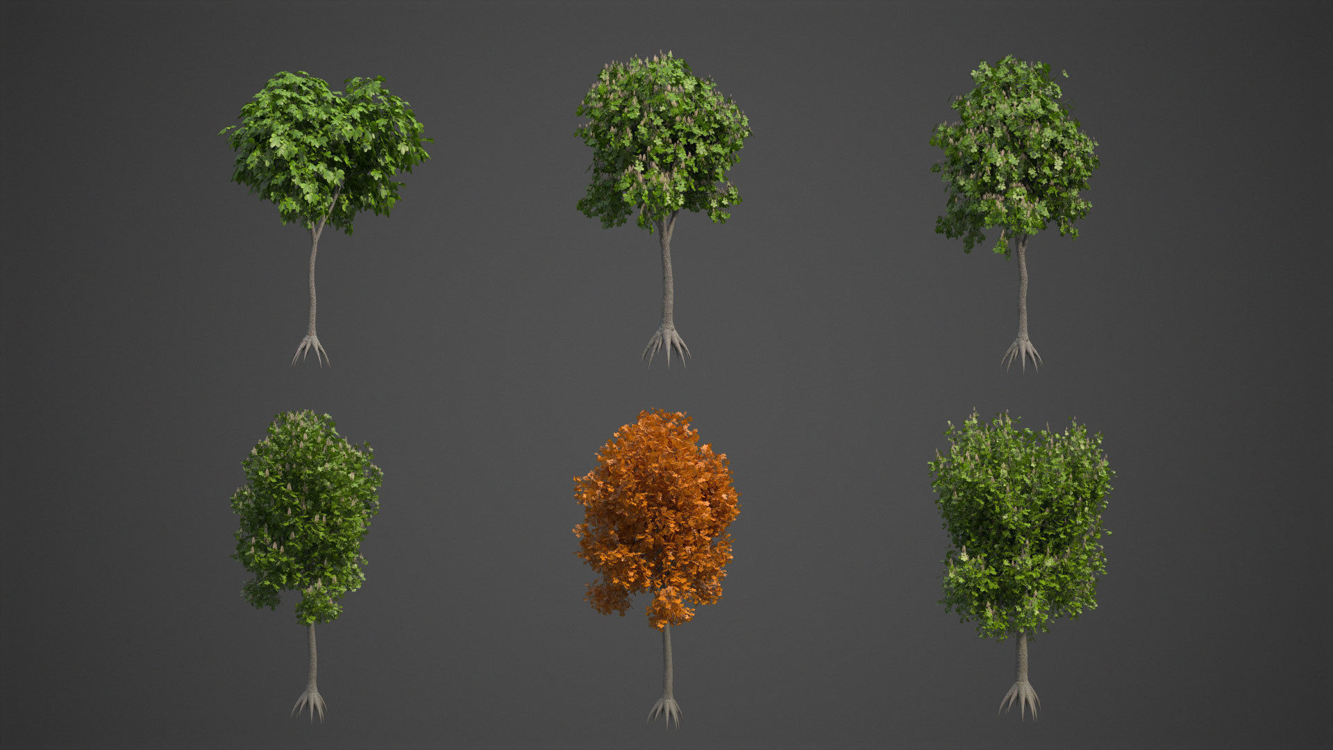 2021 PBR Ohio Buckeye Collection - Aesculus Glabra  3D model_2