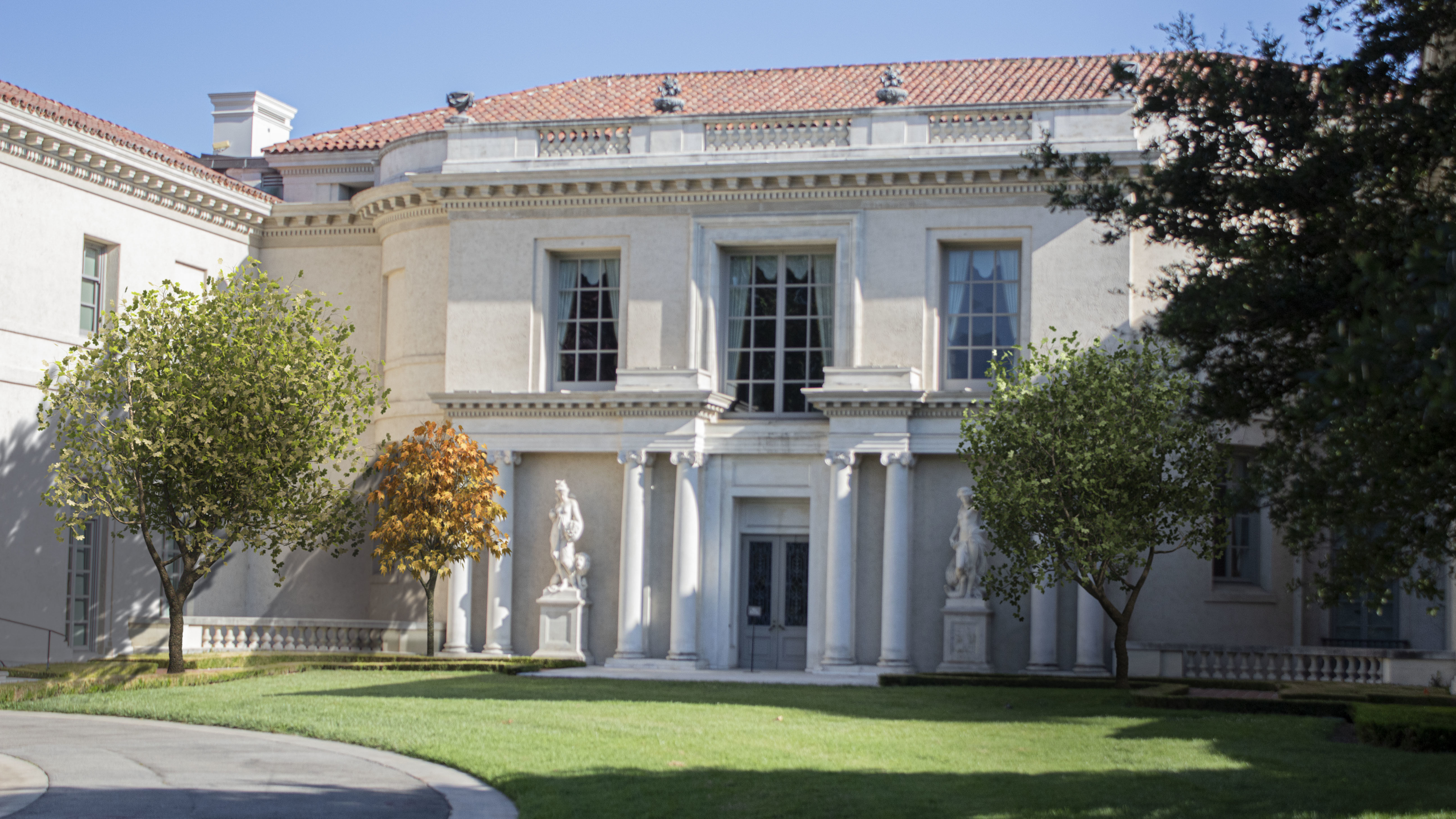 2021 PBR American Planetree Collection - Platanus Occidentalis 3D model_3