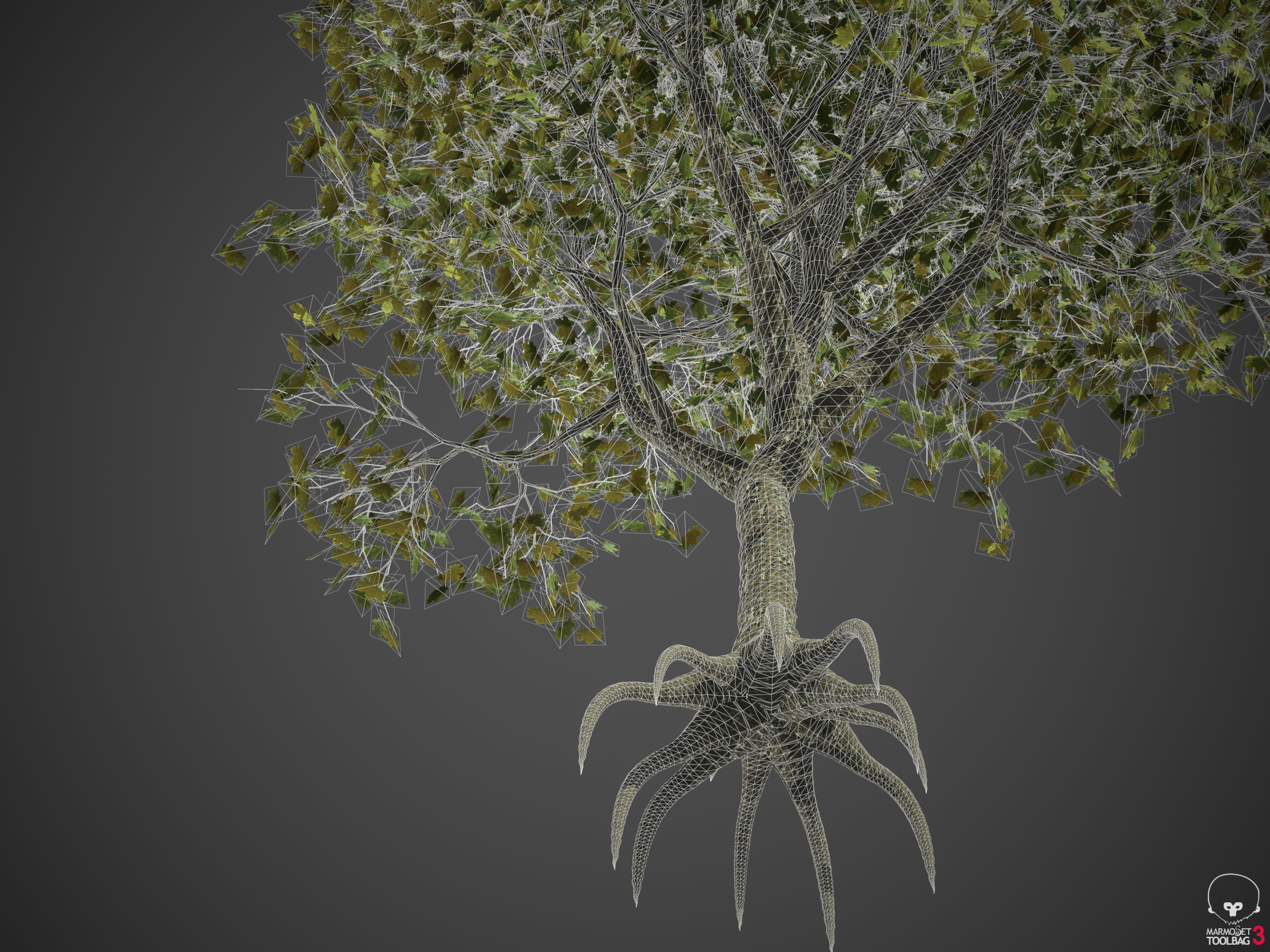 2021 PBR American Planetree Collection - Platanus Occidentalis 3D model_12