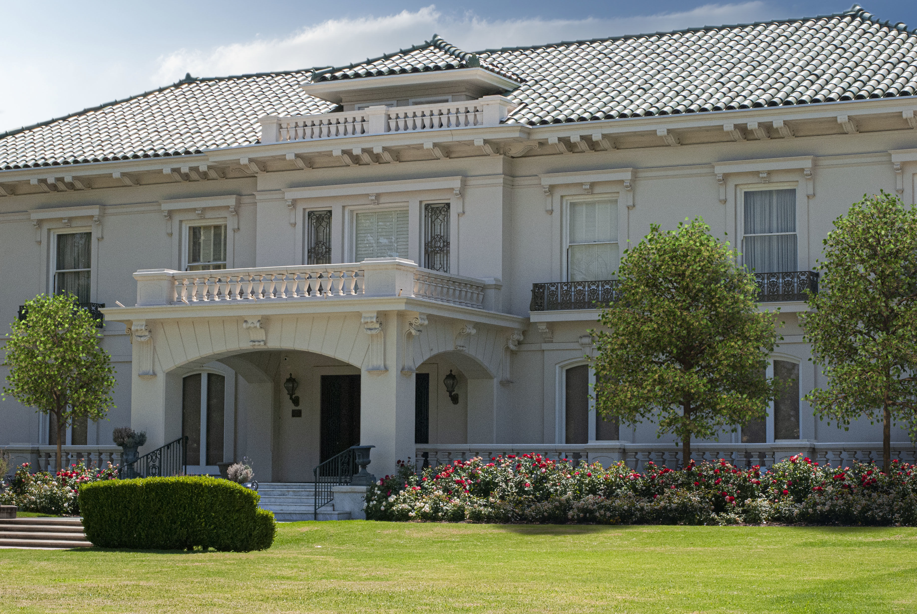 2021 PBR American Linden Collection - Tilia Americana 3D model_3