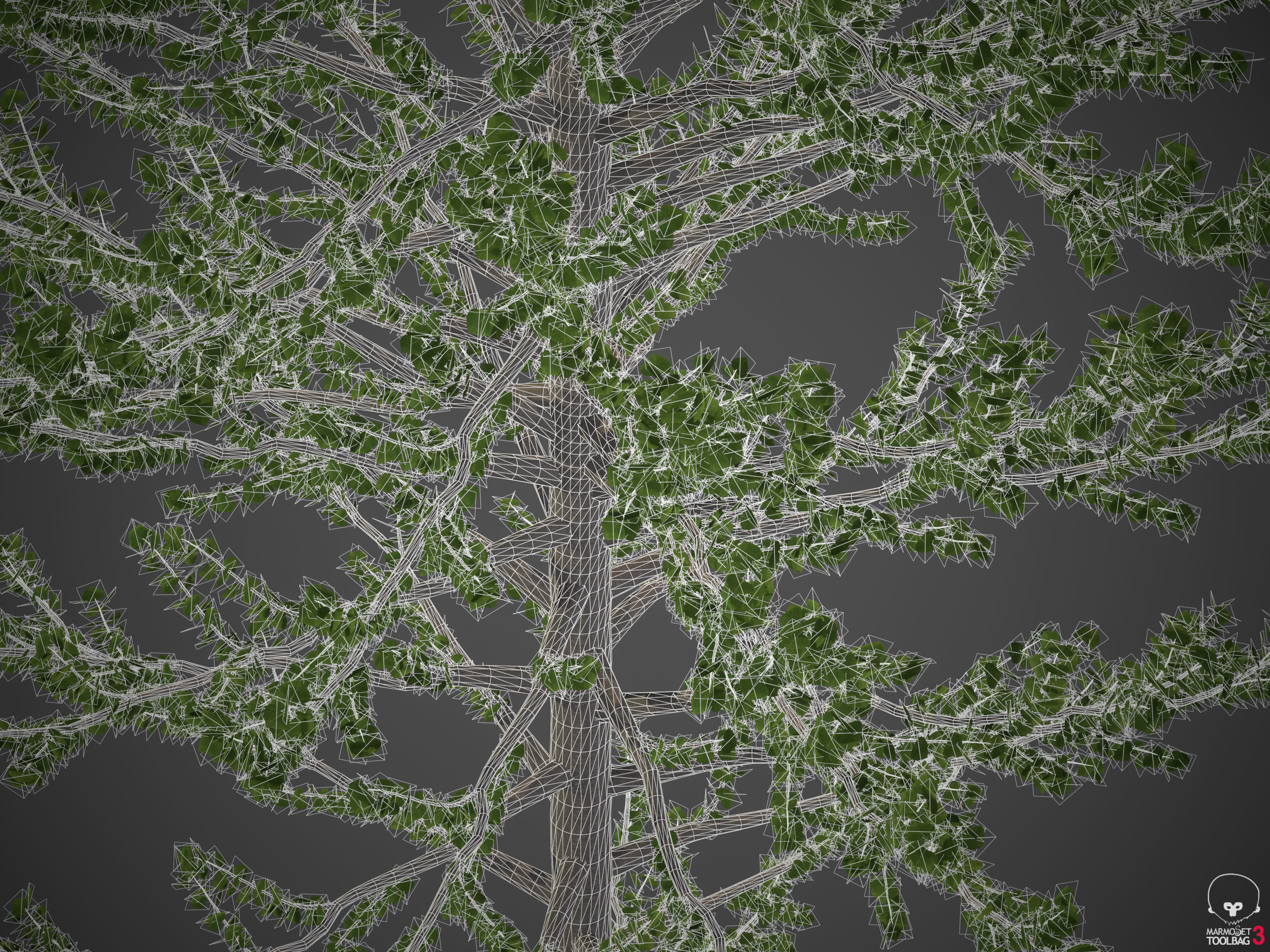 2021 PBR Balsam Poplar Collection - Populus Balsamifera 3D model_10