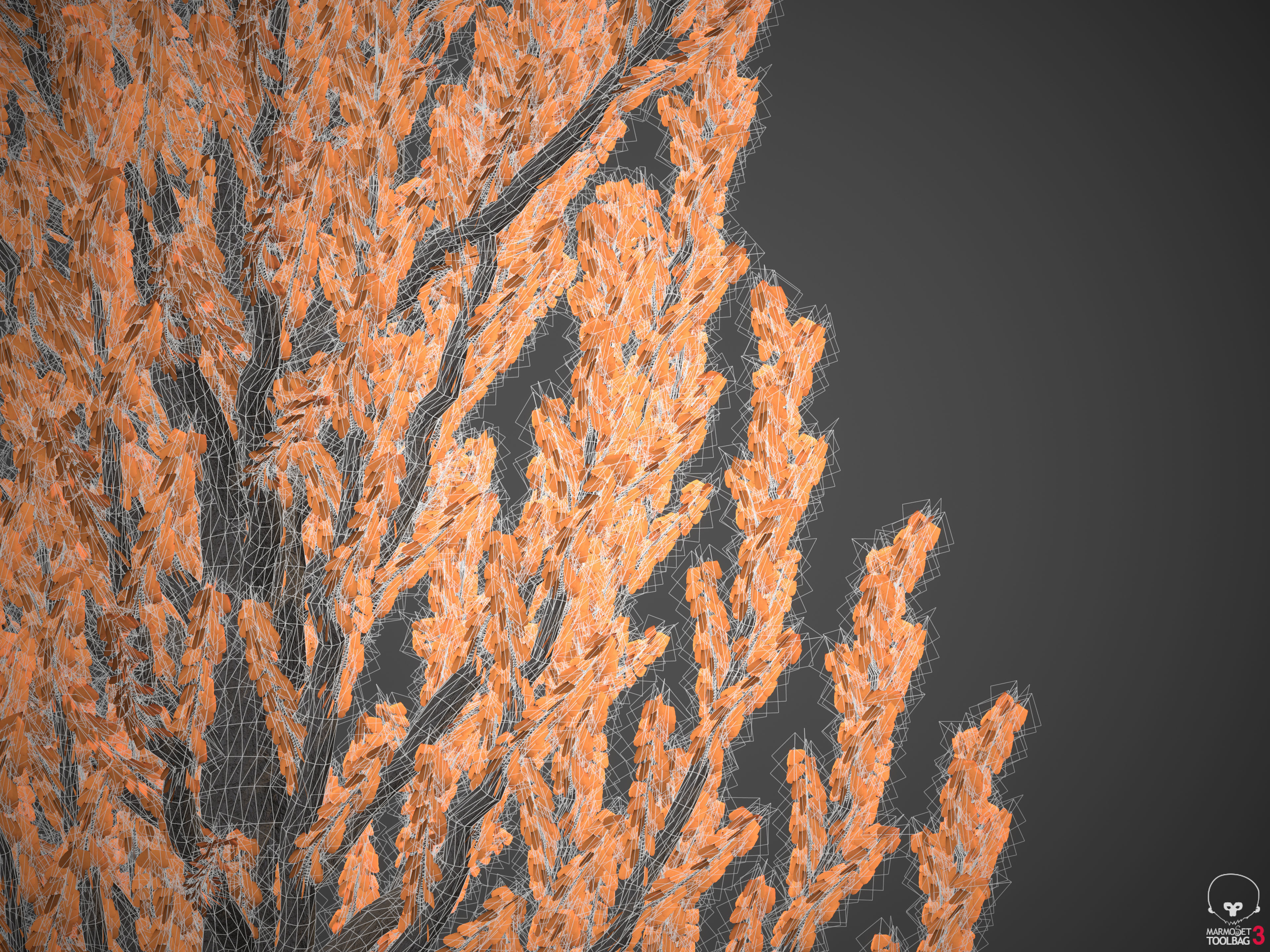 2021 PBR Balsam Poplar Collection - Populus Balsamifera 3D model_8