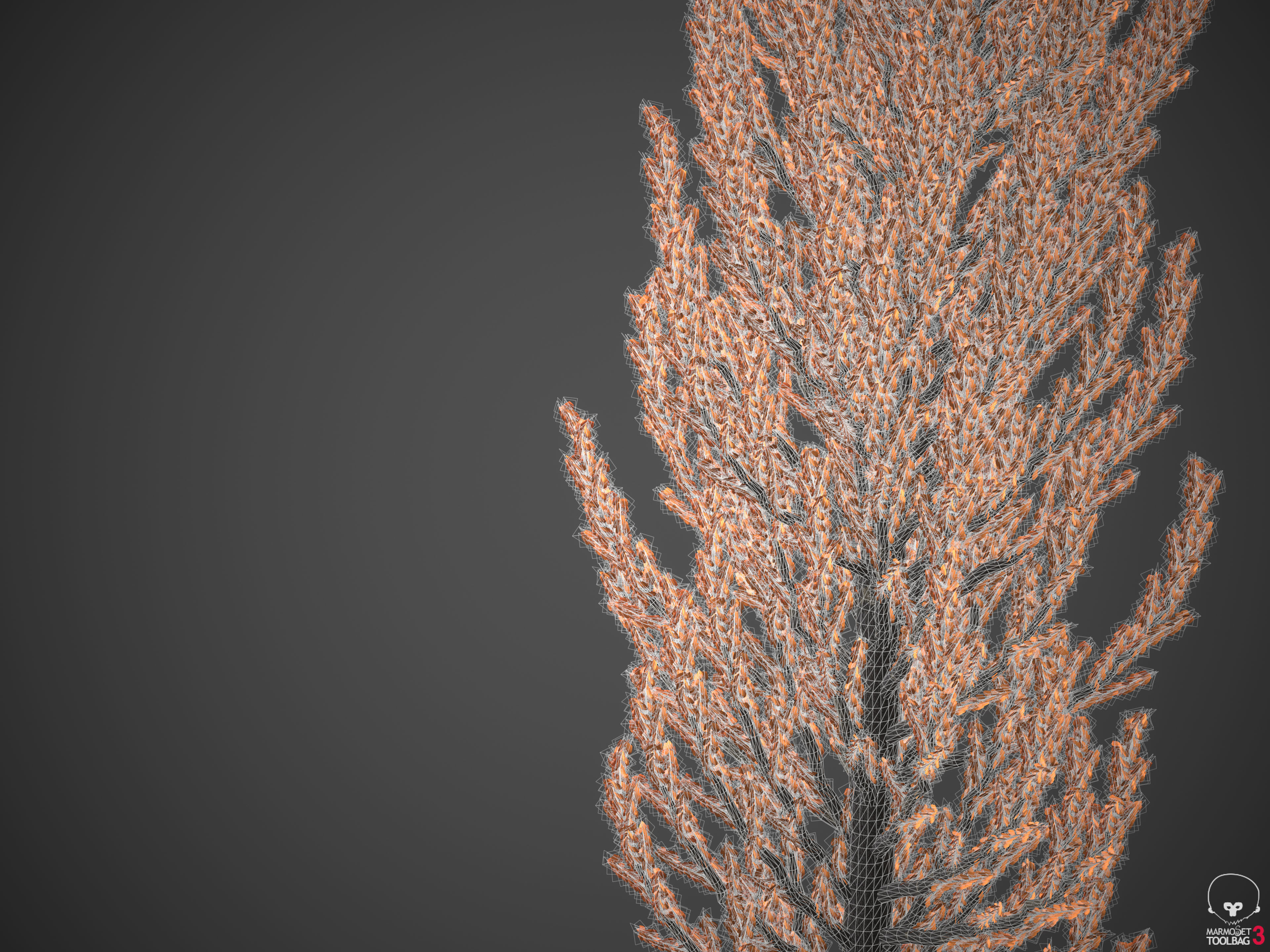 2021 PBR Balsam Poplar Collection - Populus Balsamifera 3D model_9