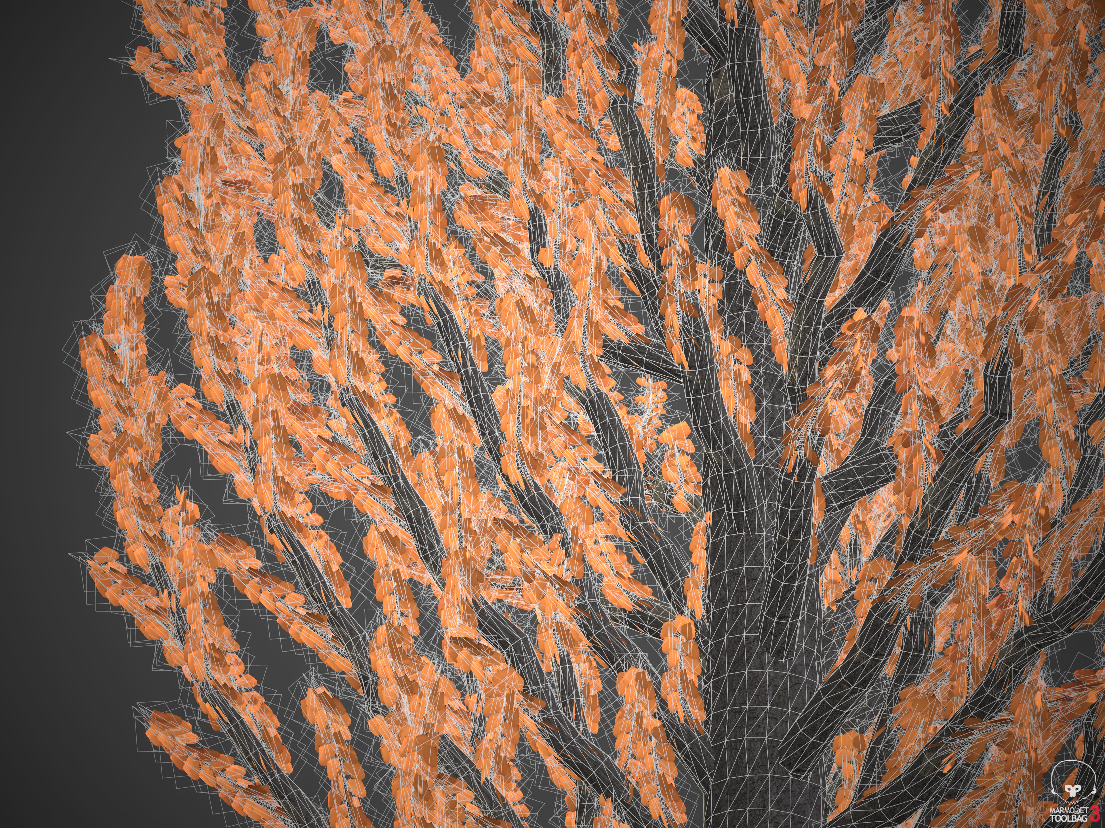 2021 PBR Balsam Poplar Collection - Populus Balsamifera 3D model_11