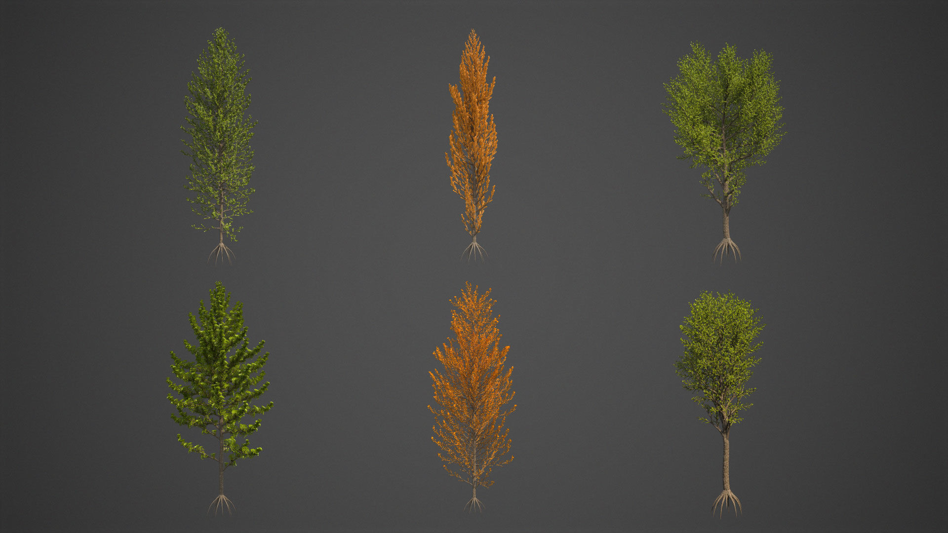 2021 PBR Balsam Poplar Collection - Populus Balsamifera 3D model_2