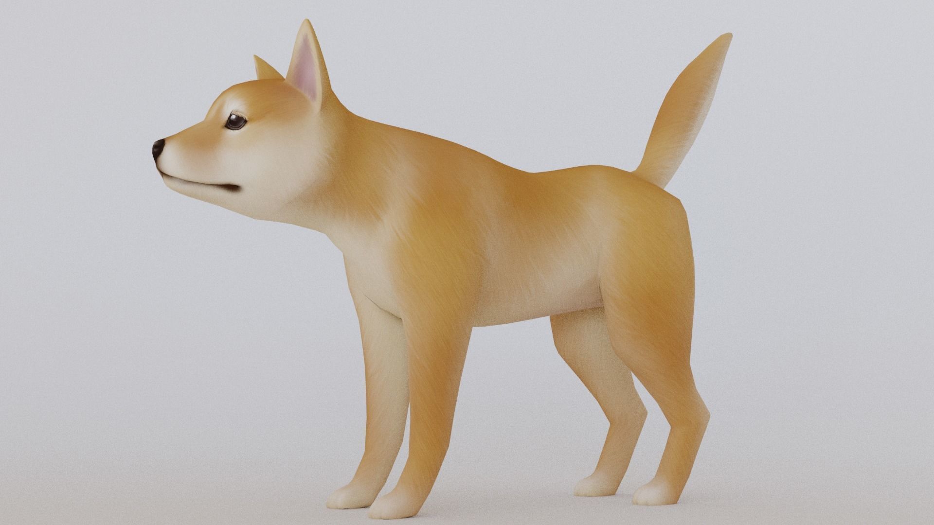 Cartoon Shiba Inu Low-poly 3D model_1