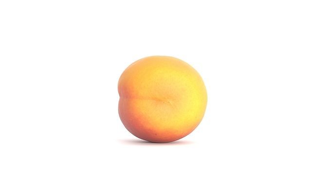 Apricot Fruit Photoscan Low-poly 3D model 7