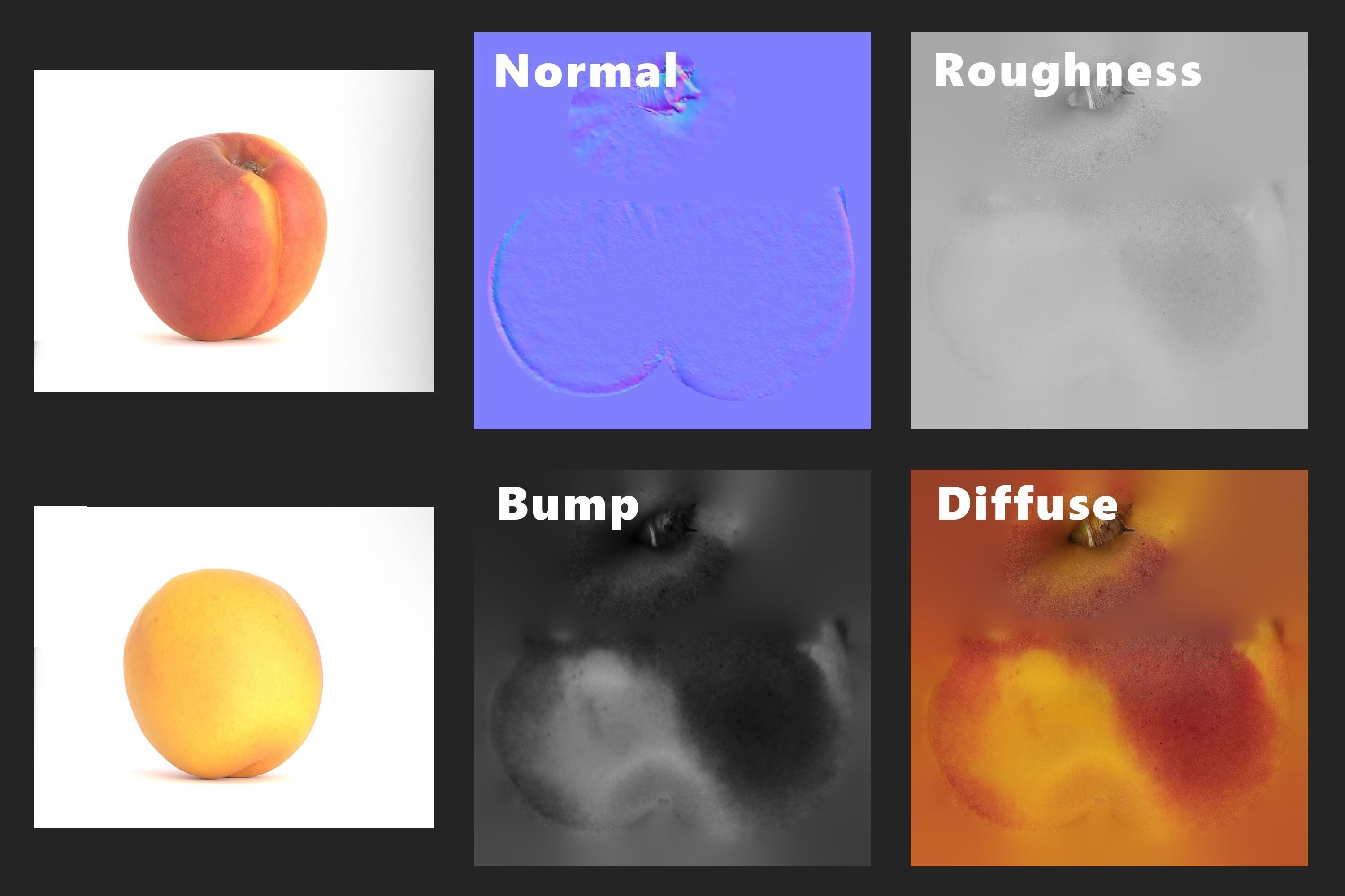 Apricot Fruit Photoscan Low-poly 3D model_9