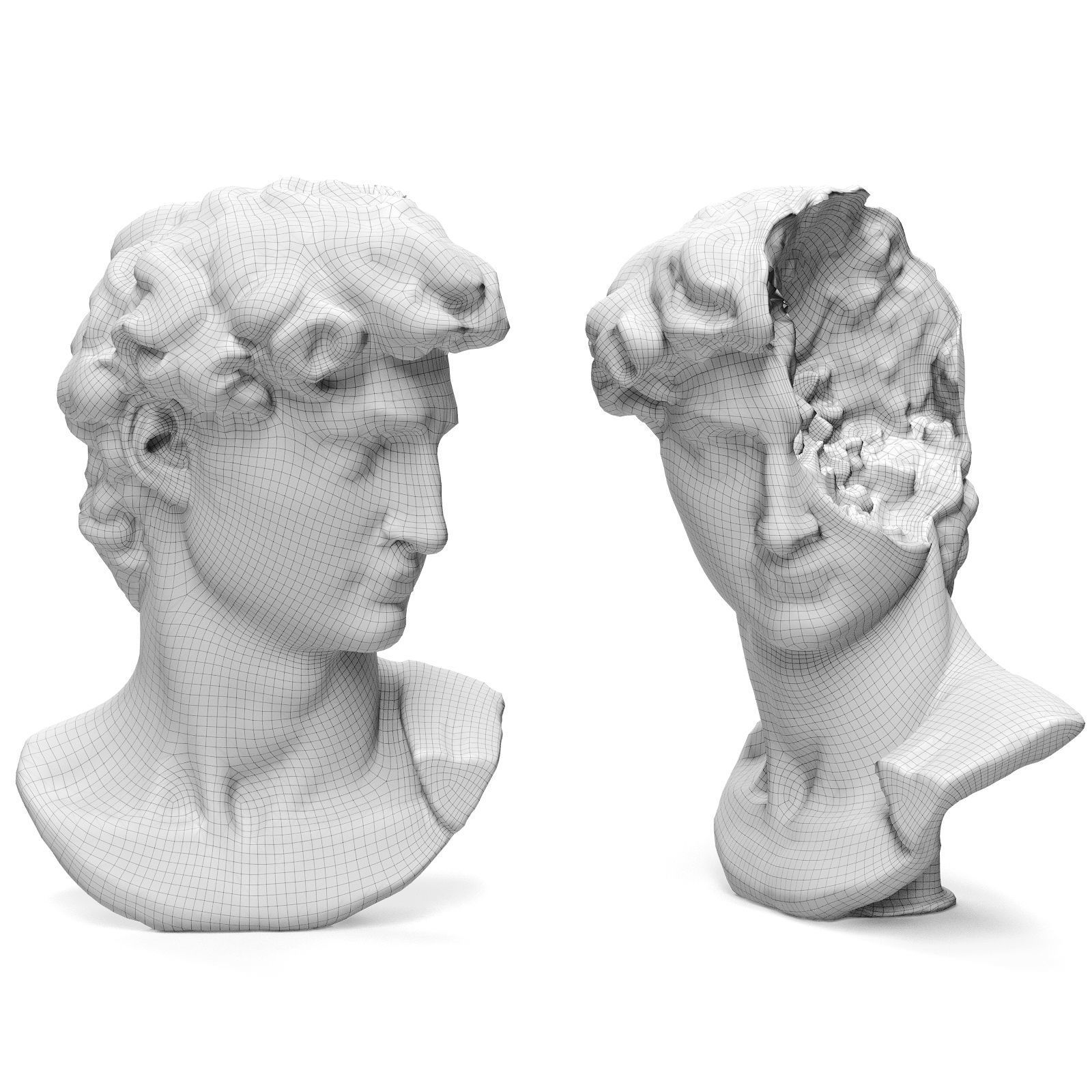 Bust of David Michelangelo Halfhead  3D model_3