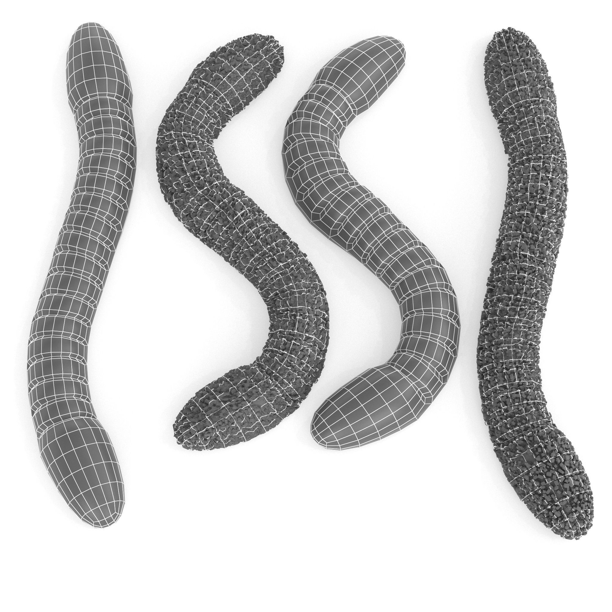 Gummy Sugar Worms 3D model_7