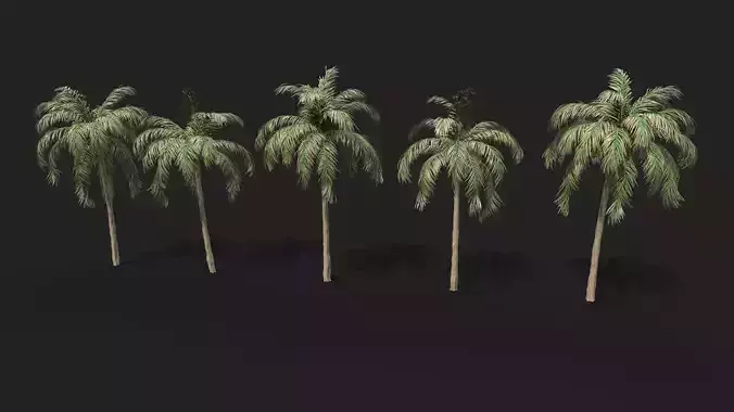 Palm tree Pack