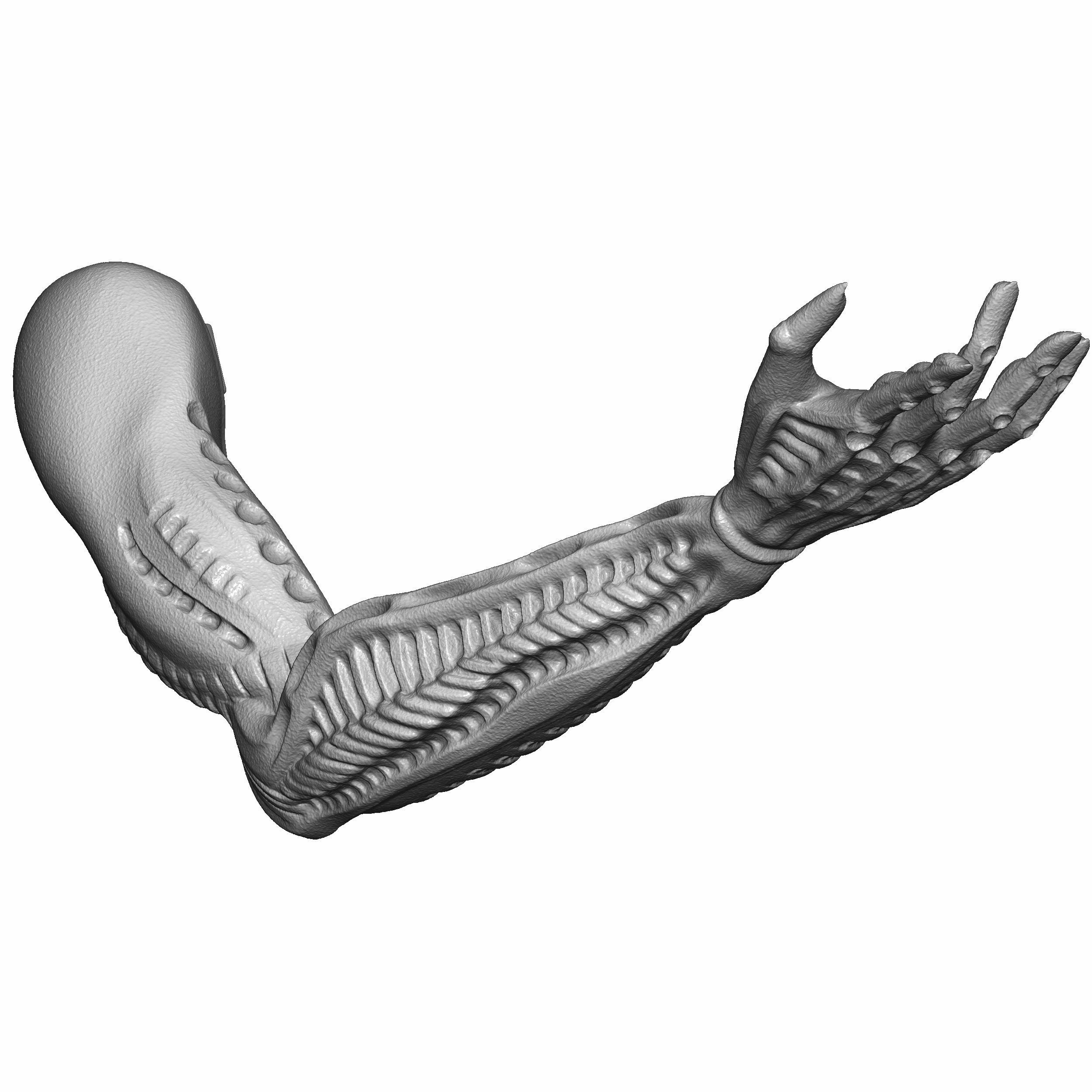 Berserk Femto and Griffith Fanart 3D print model 3D print model_8