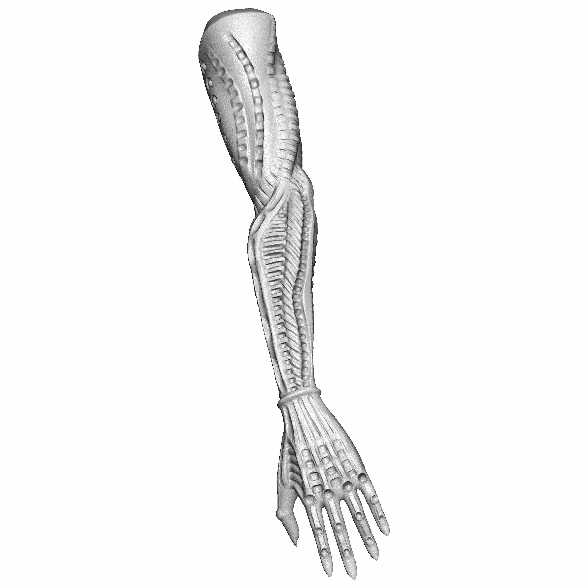 Berserk Femto and Griffith Fanart 3D print model 3D print model_10