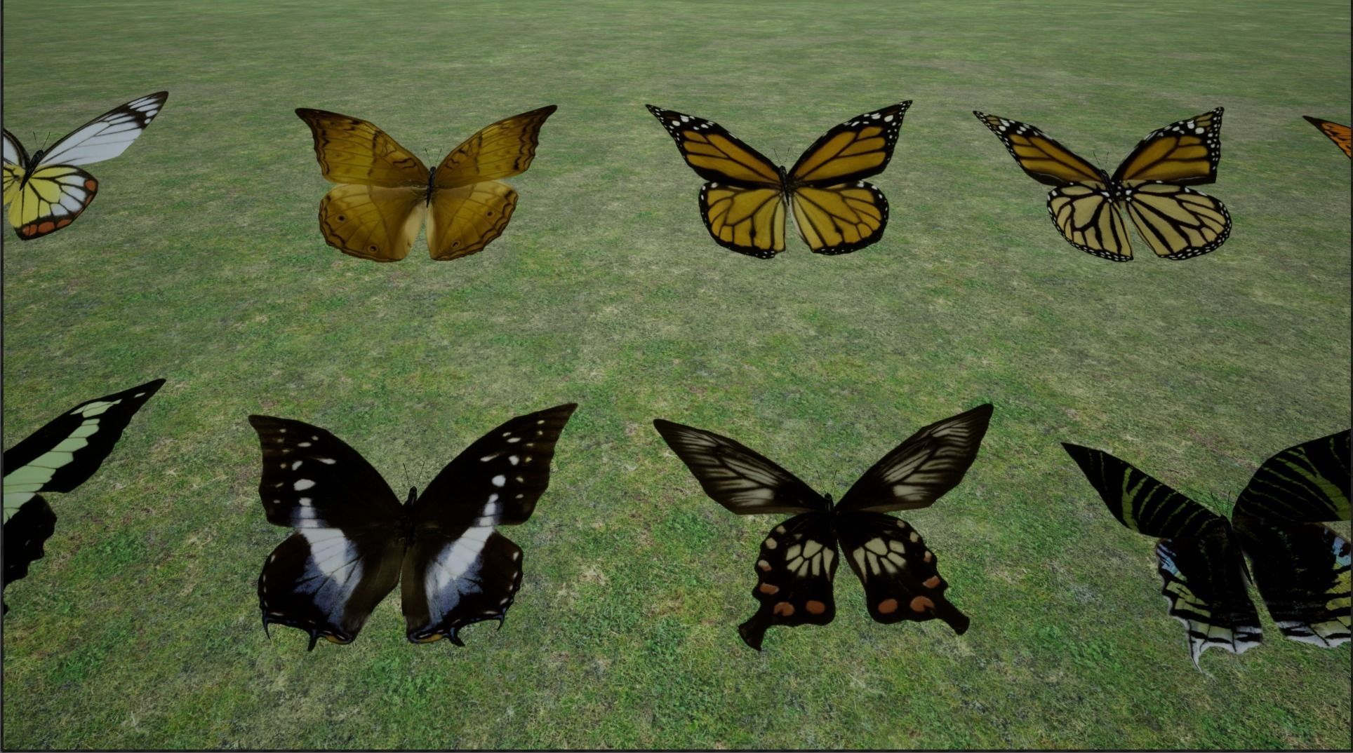 4K Butterflies rigged and animated Low-poly 3D model_21