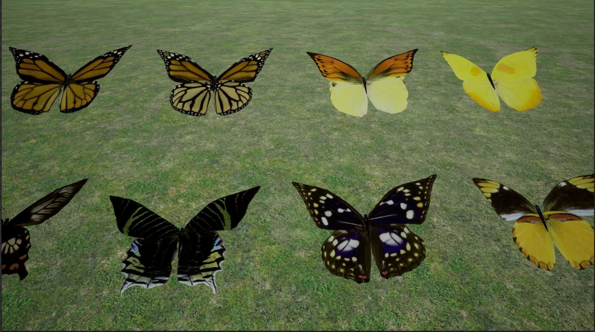 4K Butterflies rigged and animated Low-poly 3D model_23