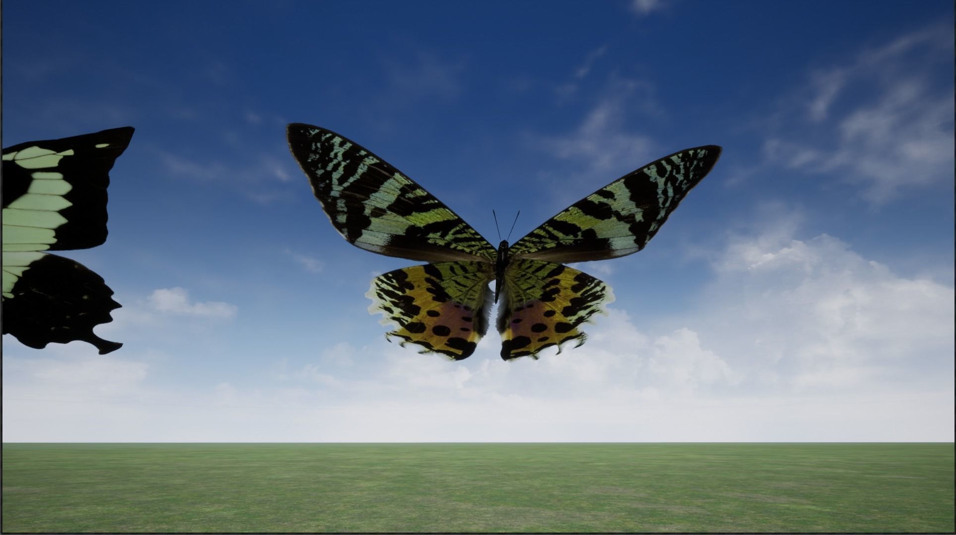 4K Butterflies rigged and animated Low-poly 3D model_10