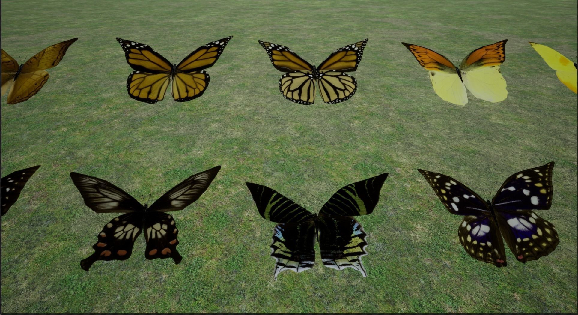 4K Butterflies rigged and animated Low-poly 3D model_22