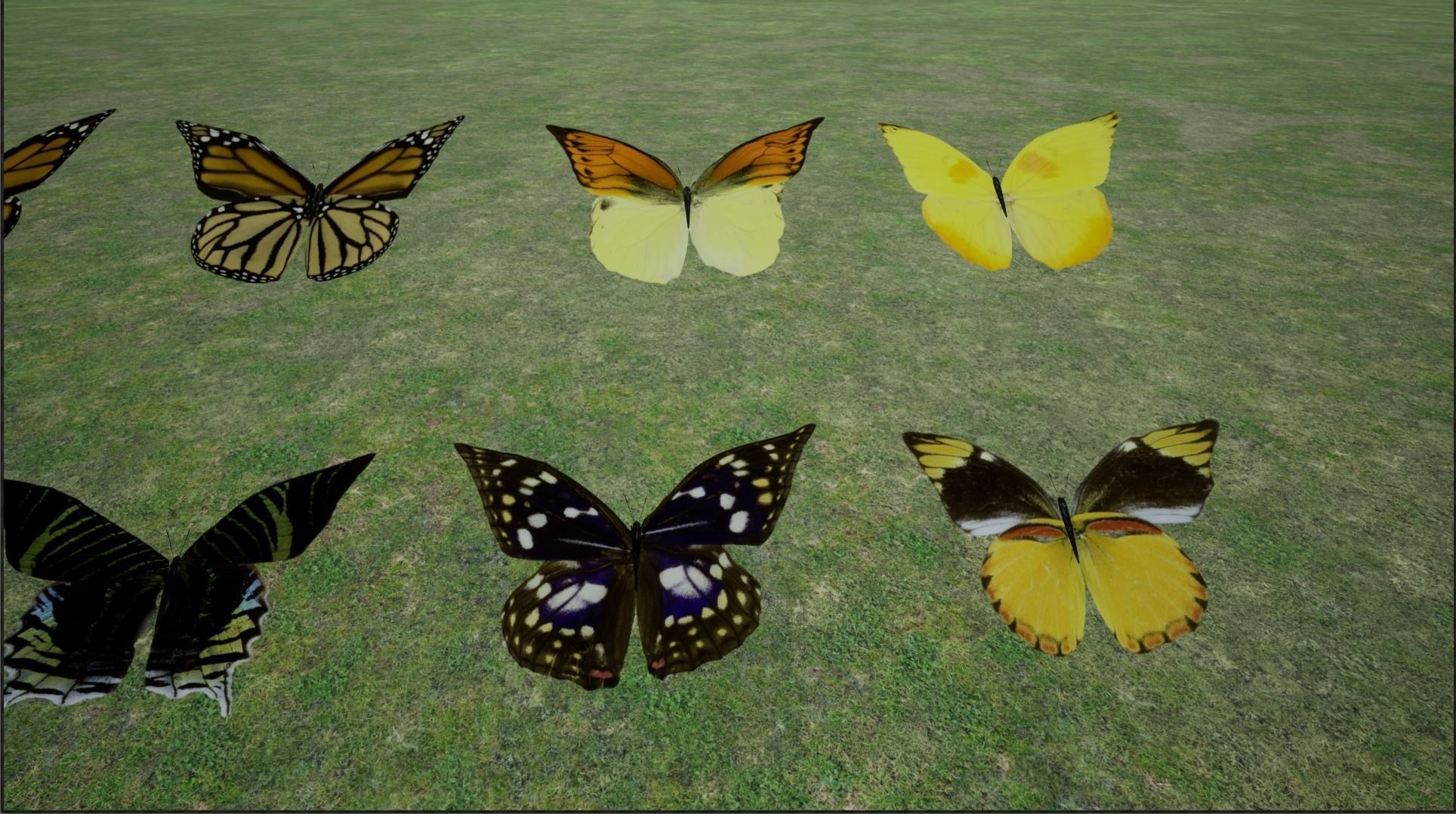 4K Butterflies rigged and animated Low-poly 3D model_24