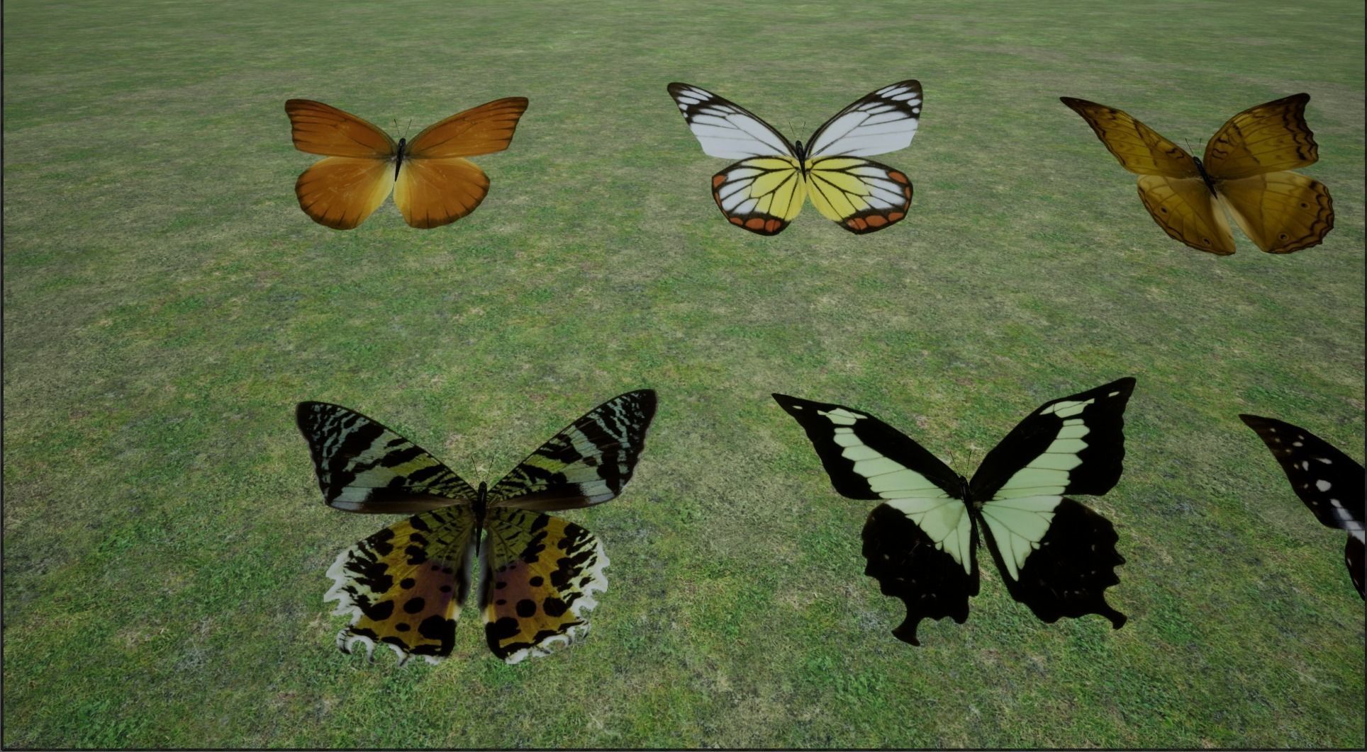 4K Butterflies rigged and animated Low-poly 3D model_19