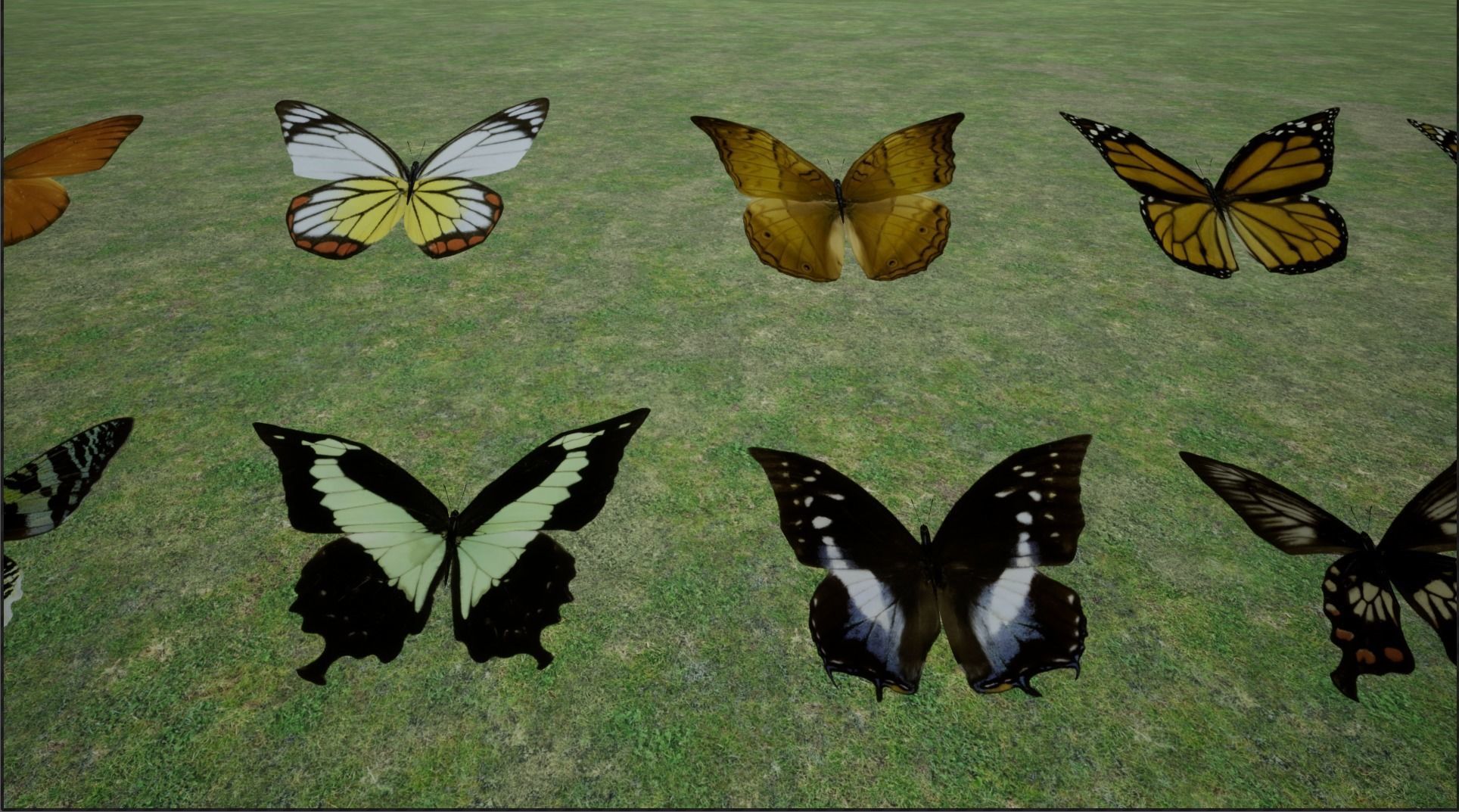 4K Butterflies rigged and animated Low-poly 3D model_20