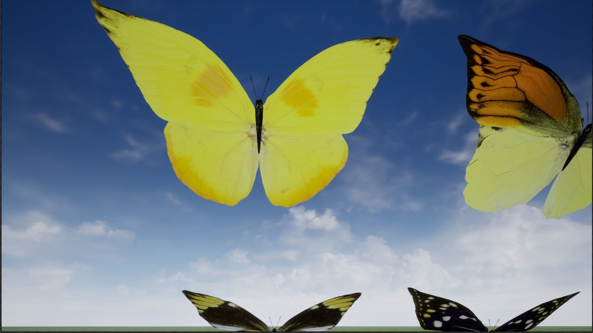 4K Butterflies rigged and animated Low-poly 3D model_7