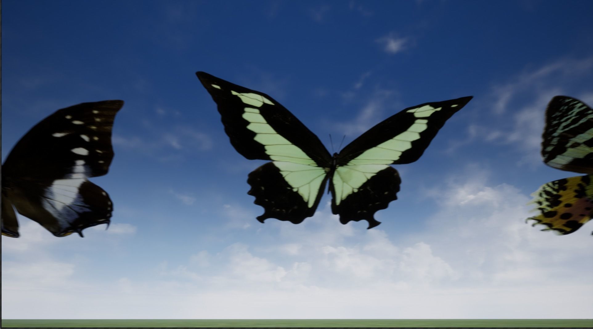 4K Butterflies rigged and animated Low-poly 3D model_11