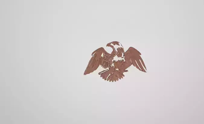 2D to 3D design of Eagle 