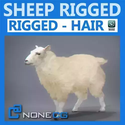 Rigged Sheep 3D model