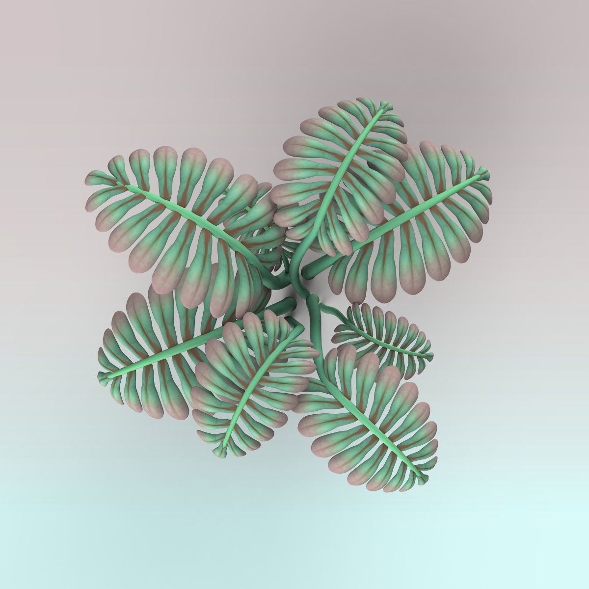 Fern plant 3D model_4