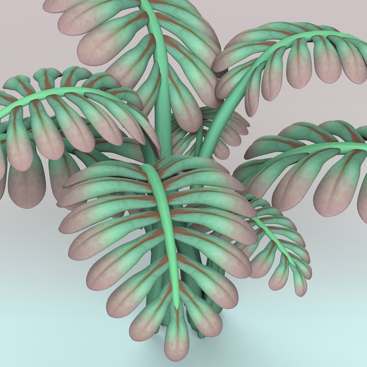 Fern plant 3D model_1