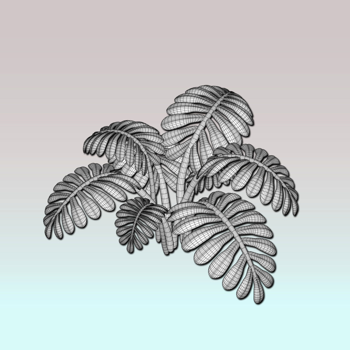Fern plant 3D model_5