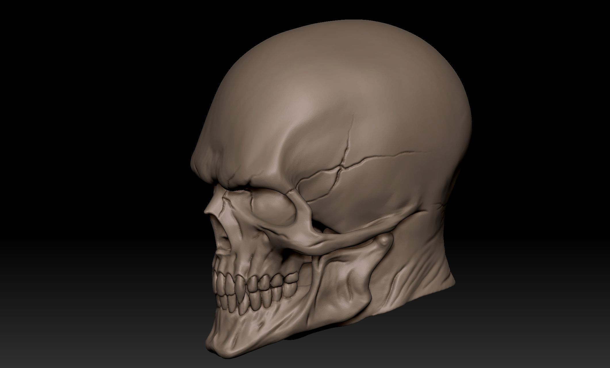 Scullhead Sculpt 3D model_8