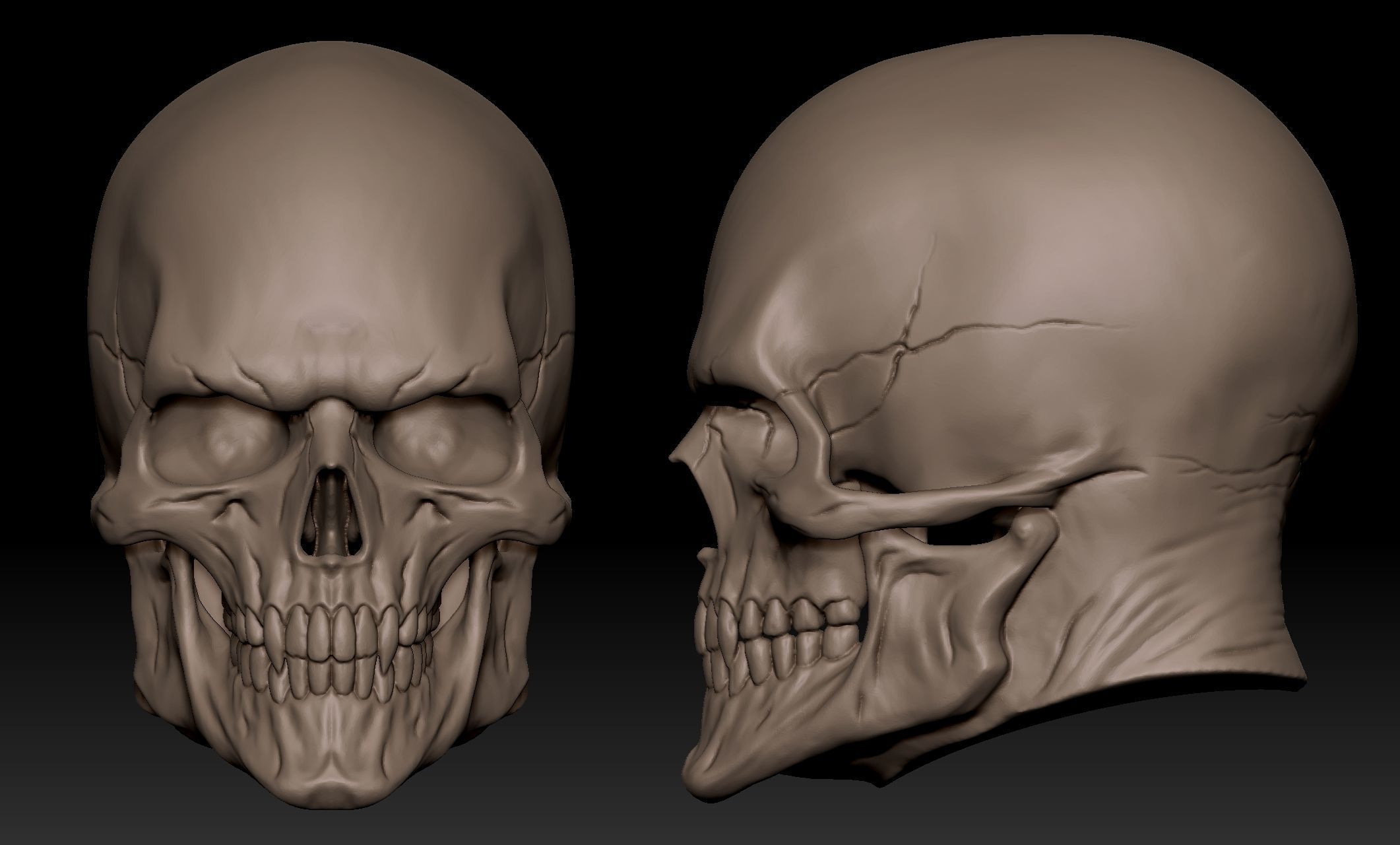 Scullhead Sculpt 3D model_11