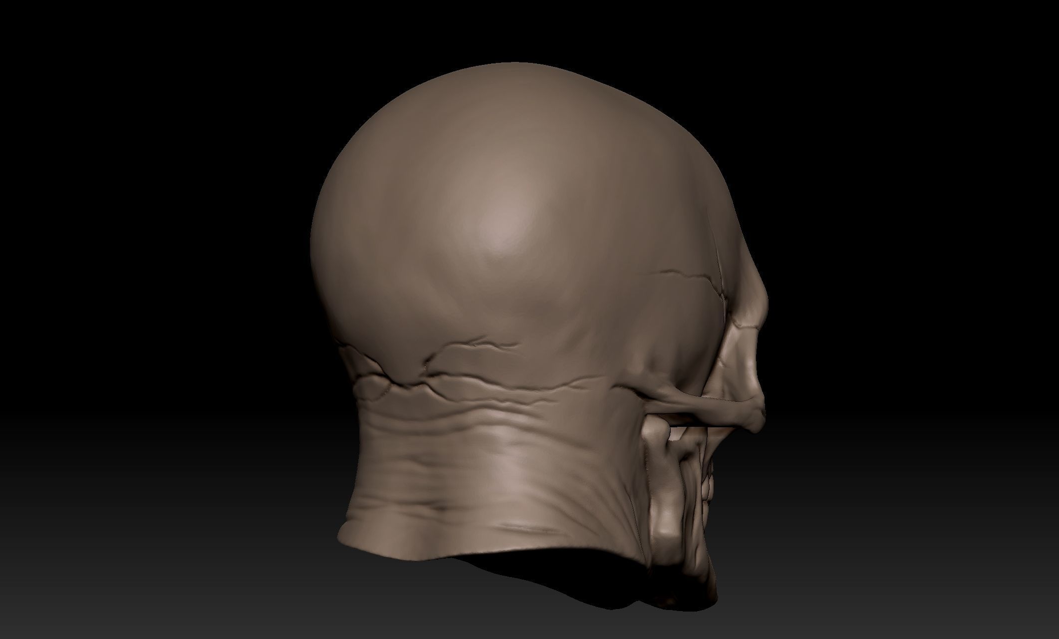 Scullhead Sculpt 3D model_5