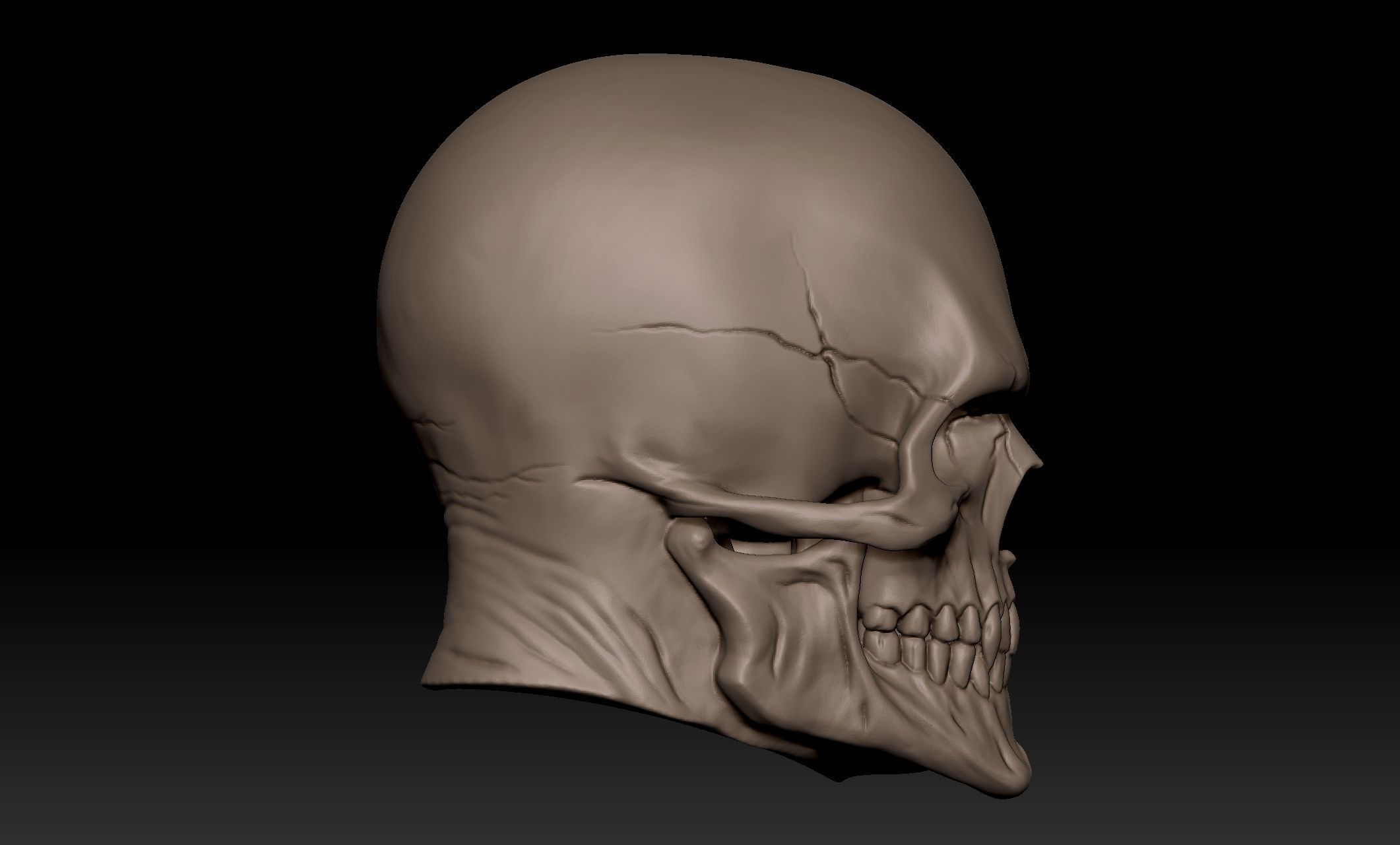 Scullhead Sculpt 3D model_4