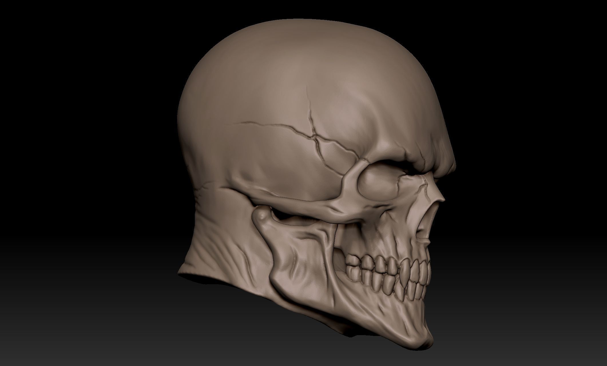 Scullhead Sculpt 3D model_3