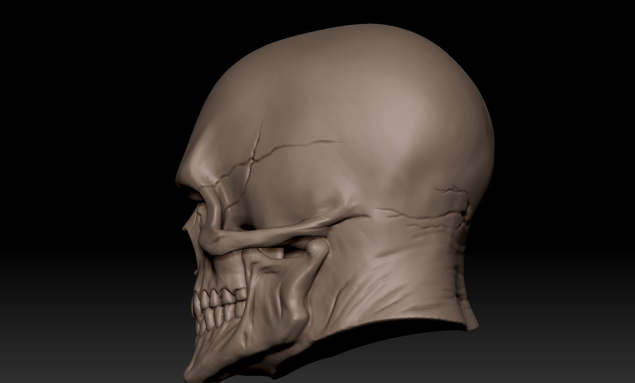 Scullhead Sculpt 3D model_7