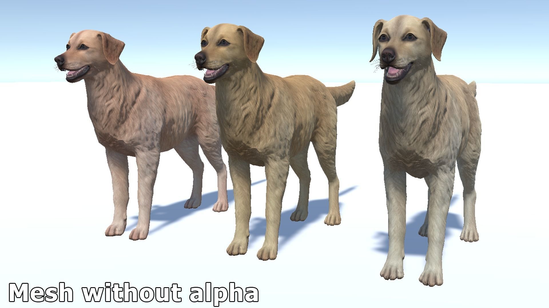 Dog - Golden Retriever Low-poly 3D model_13
