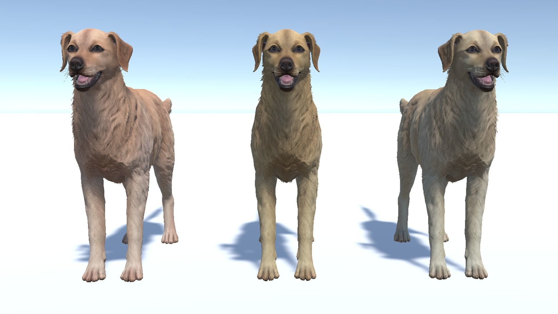 Dog - Golden Retriever Low-poly 3D model_8