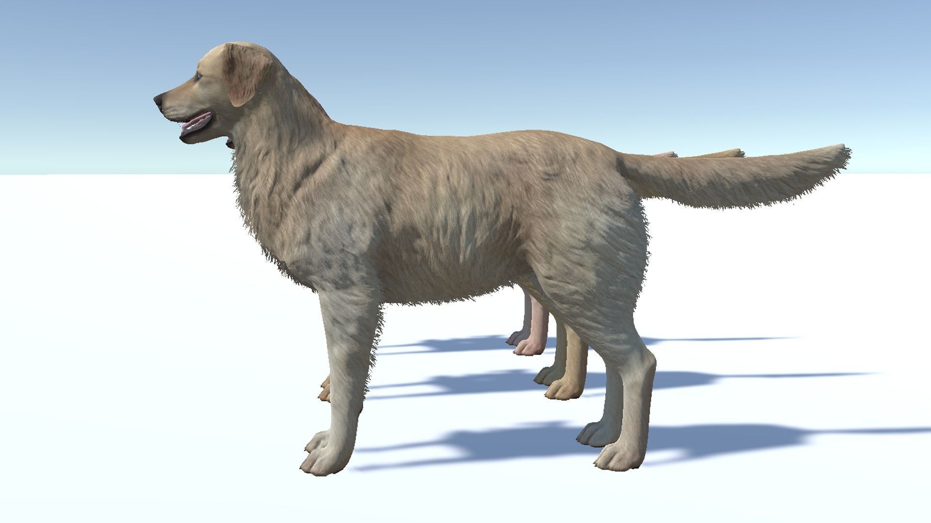 Dog - Golden Retriever Low-poly 3D model_11
