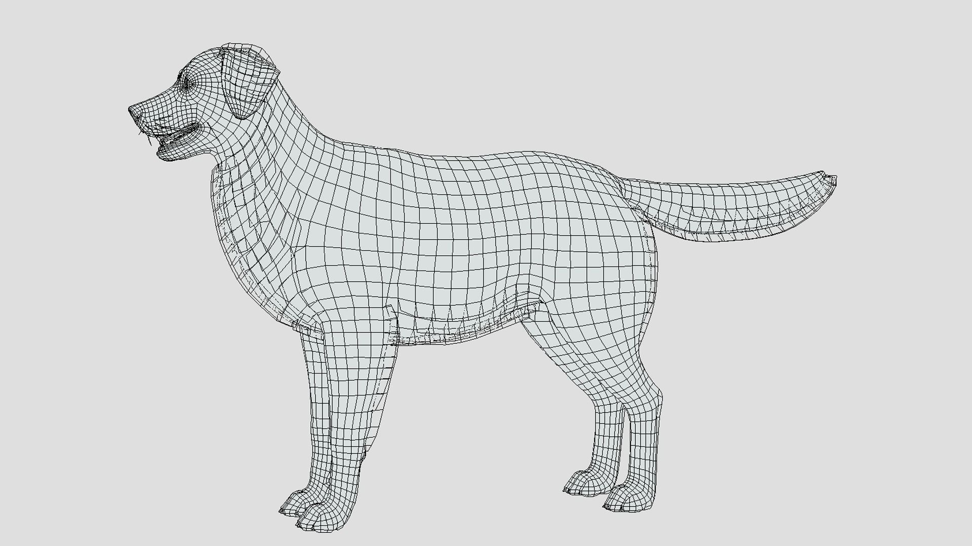Dog - Golden Retriever Low-poly 3D model_15