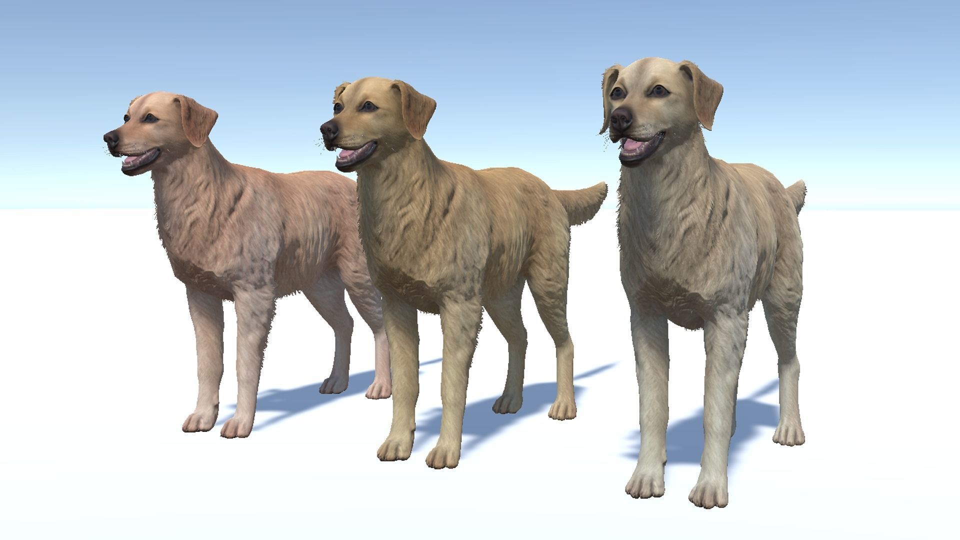 Dog - Golden Retriever Low-poly 3D model_7