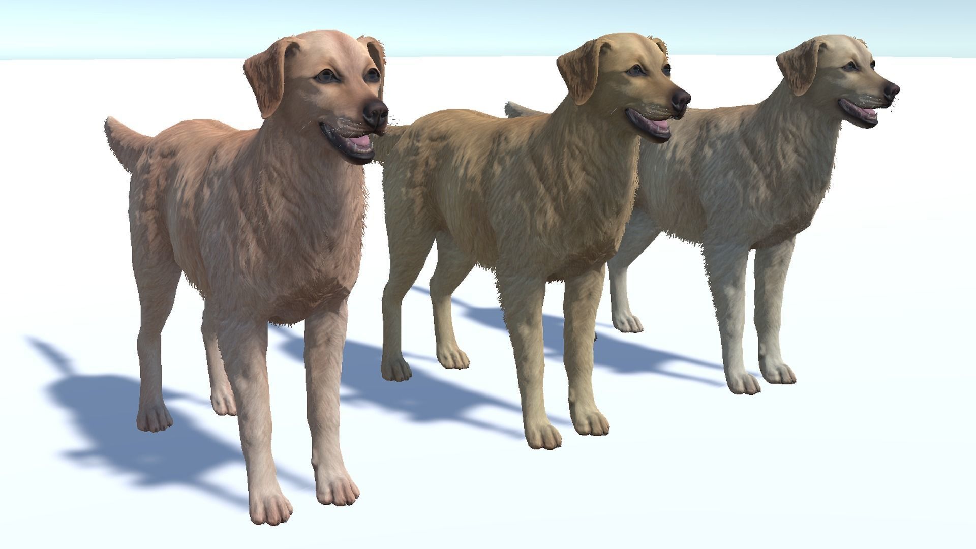 Dog - Golden Retriever Low-poly 3D model_9
