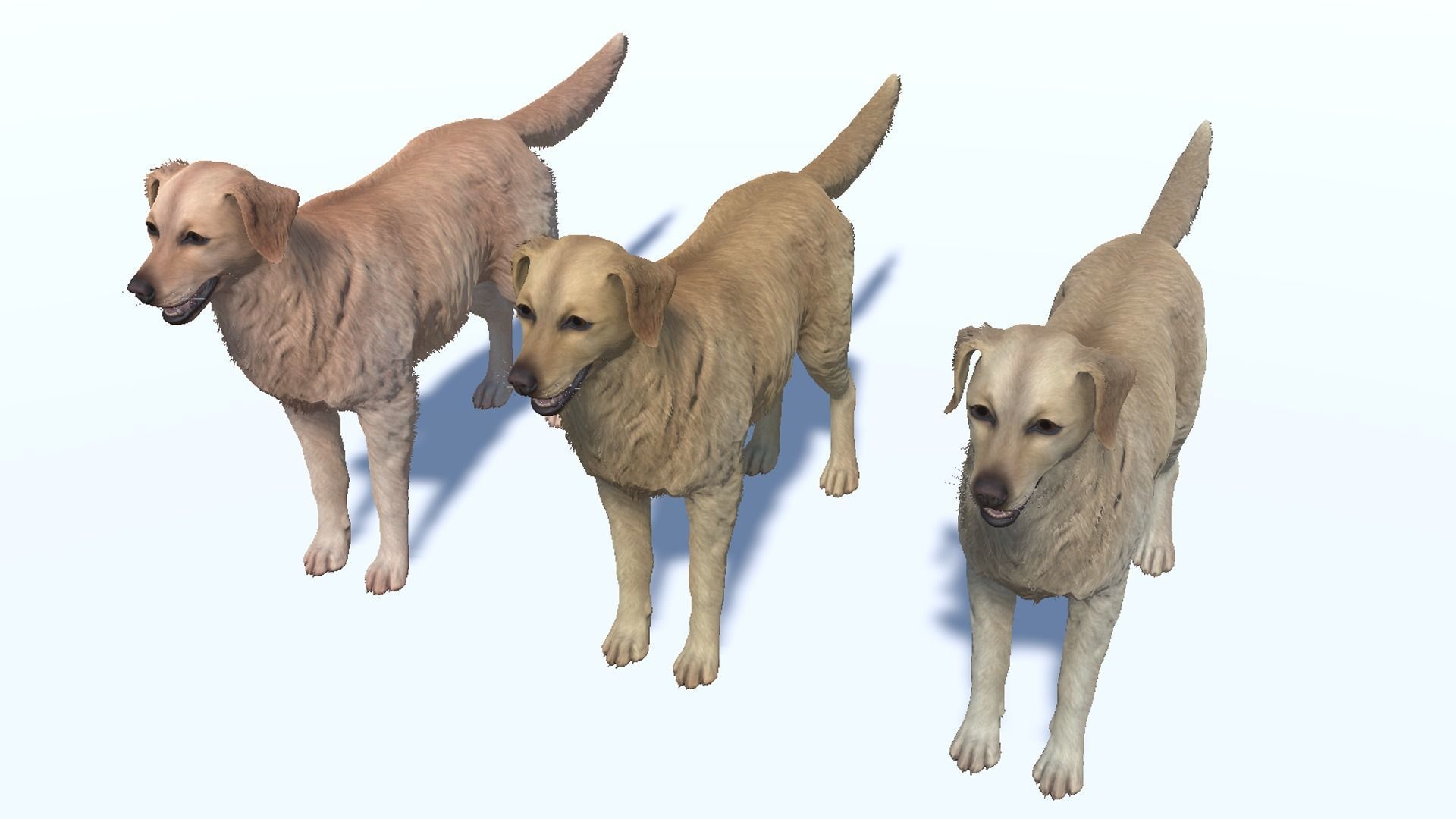 Dog - Golden Retriever Low-poly 3D model_10