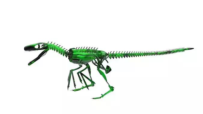 Robot Raptor Low-poly 3D model Robot Raptor Low-poly 3D model