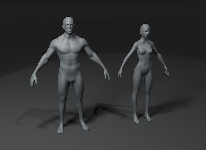 Male and Female Body Base Mesh 3D Model 10k Polygons Low-poly 3D model