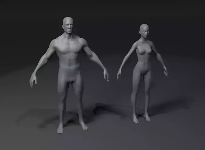 Male and Female Body Base Mesh 3D Model 10k Polygons Low-poly 3D model