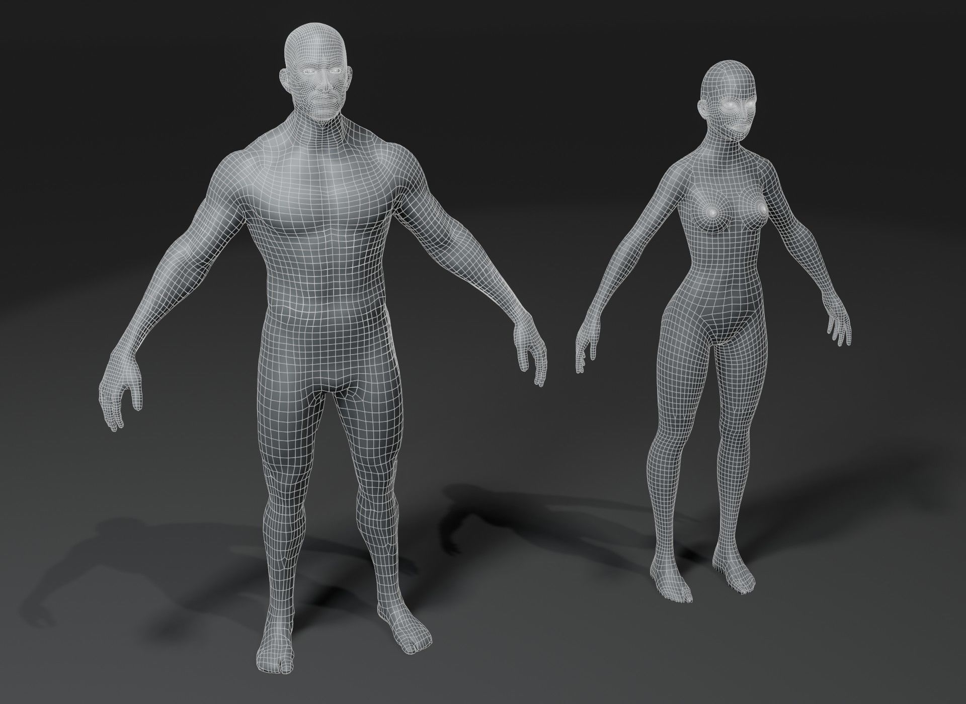 Male and Female Body Base Mesh 3D Model 10k Polygons Low-poly 3D model_3
