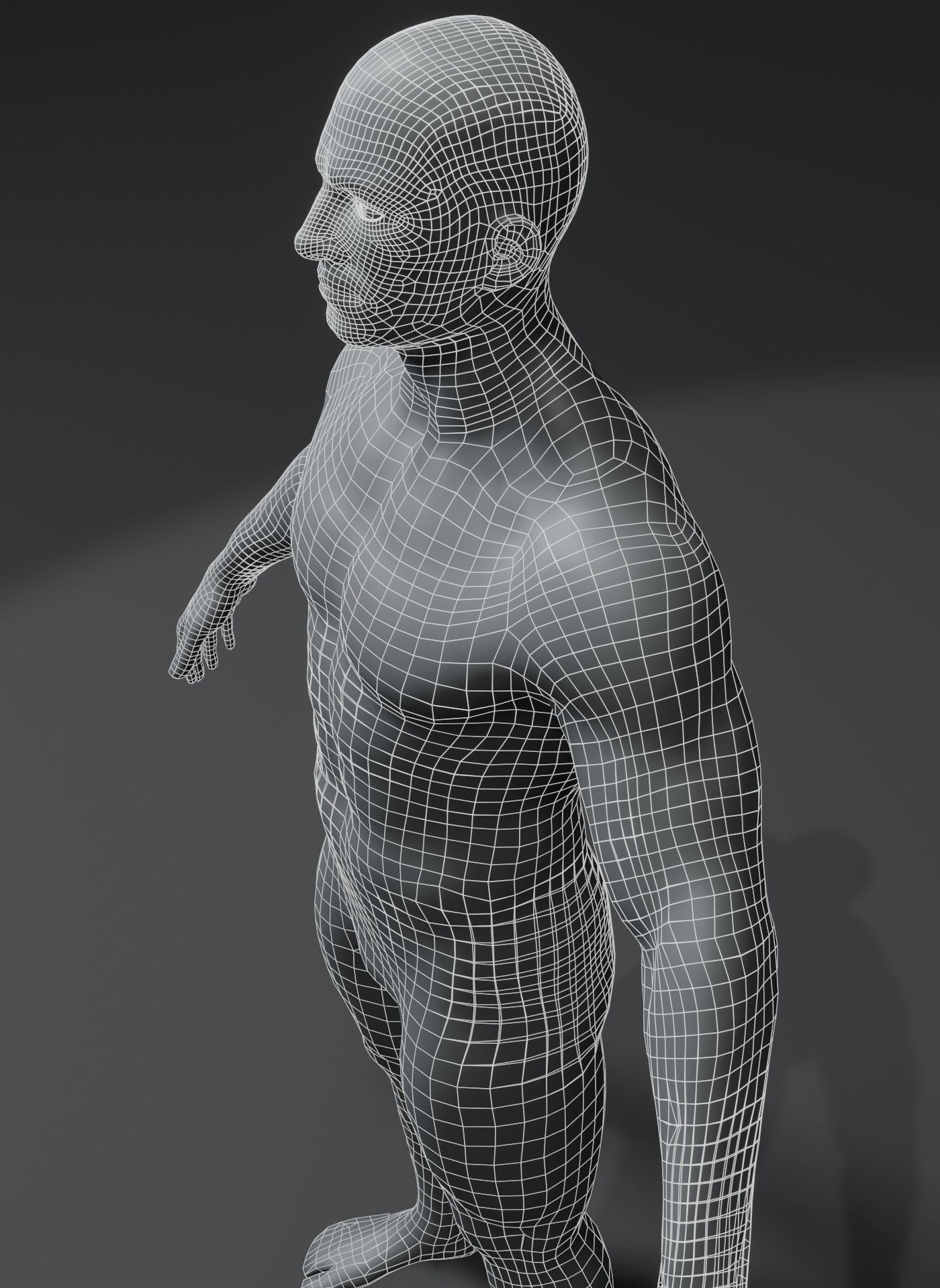 Male and Female Body Base Mesh 3D Model 10k Polygons Low-poly 3D model_12
