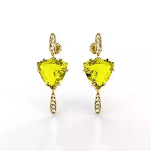 Elegant Classic Earring